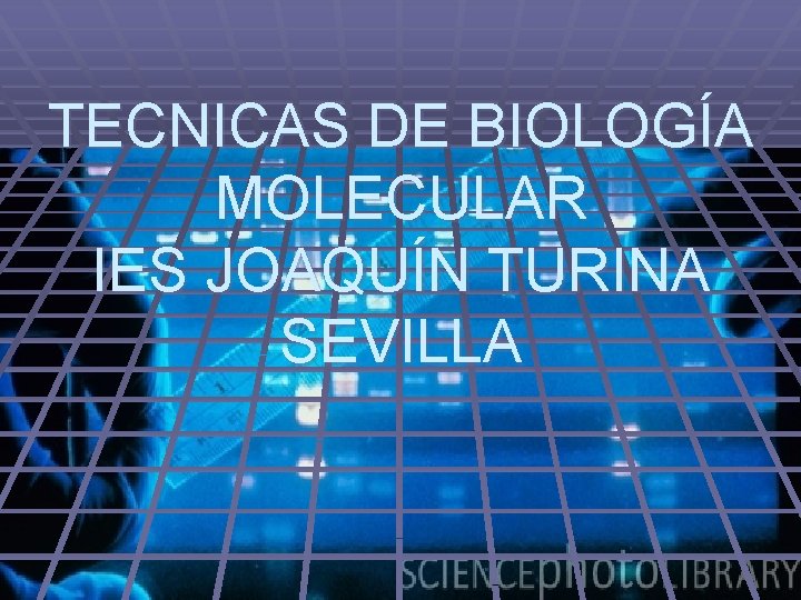 TECNICAS DE BIOLOGÍA MOLECULAR IES JOAQUÍN TURINA SEVILLA 