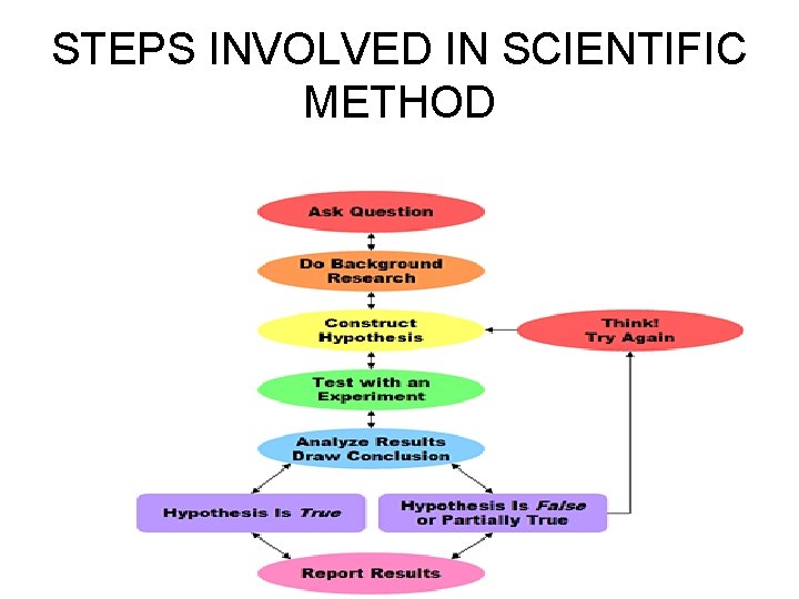 STEPS INVOLVED IN SCIENTIFIC METHOD 