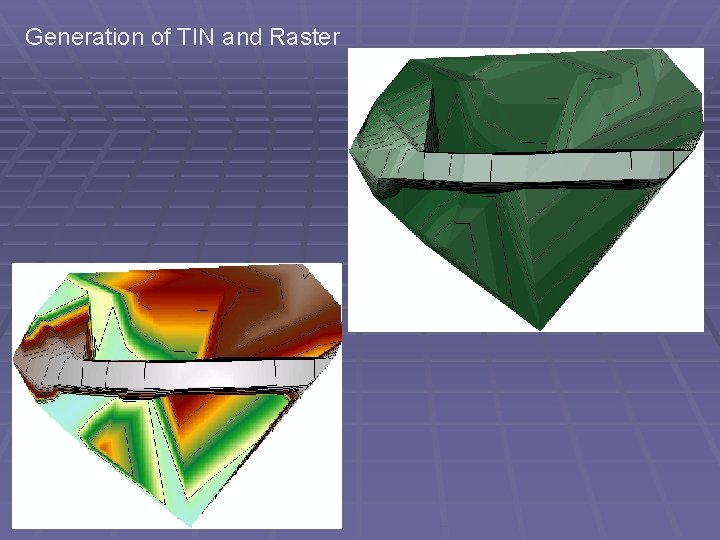Generation of TIN and Raster 