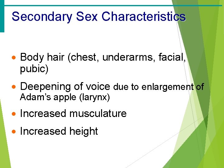 Secondary Sex Characteristics · Body hair (chest, underarms, facial, pubic) · Deepening of voice