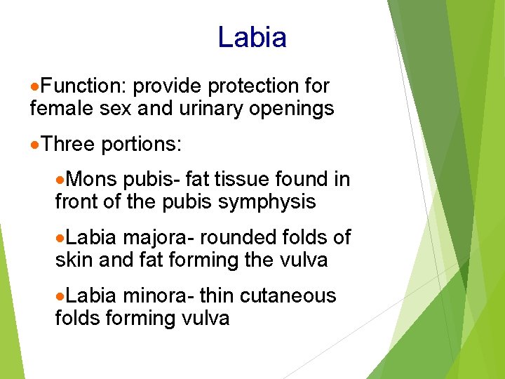 Labia ·Function: provide protection for female sex and urinary openings ·Three portions: ·Mons pubis-