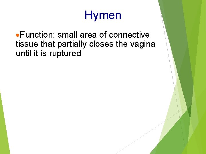 Hymen ·Function: small area of connective tissue that partially closes the vagina until it