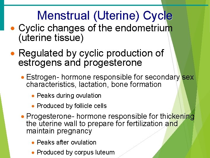 Menstrual (Uterine) Cycle · Cyclic changes of the endometrium (uterine tissue) · Regulated by