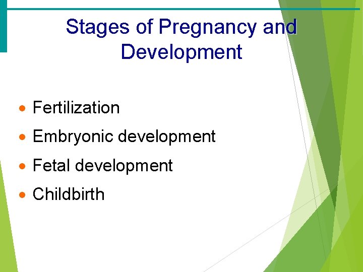 Stages of Pregnancy and Development · Fertilization · Embryonic development · Fetal development ·