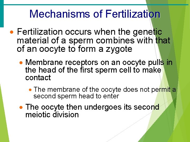 Mechanisms of Fertilization · Fertilization occurs when the genetic material of a sperm combines