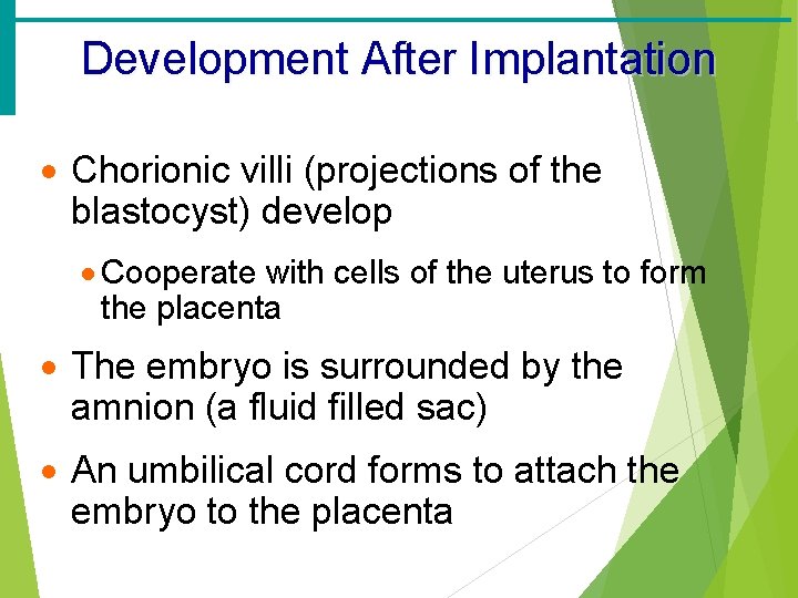 Development After Implantation · Chorionic villi (projections of the blastocyst) develop · Cooperate with