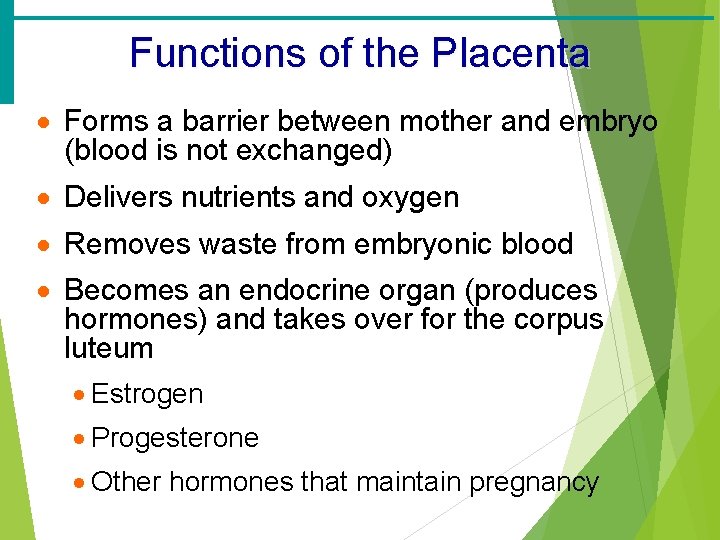 Functions of the Placenta · Forms a barrier between mother and embryo (blood is