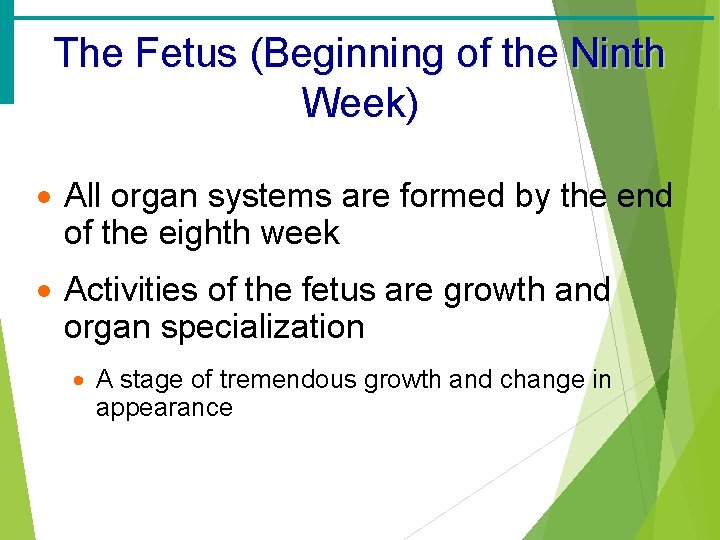 The Fetus (Beginning of the Ninth Week) · All organ systems are formed by