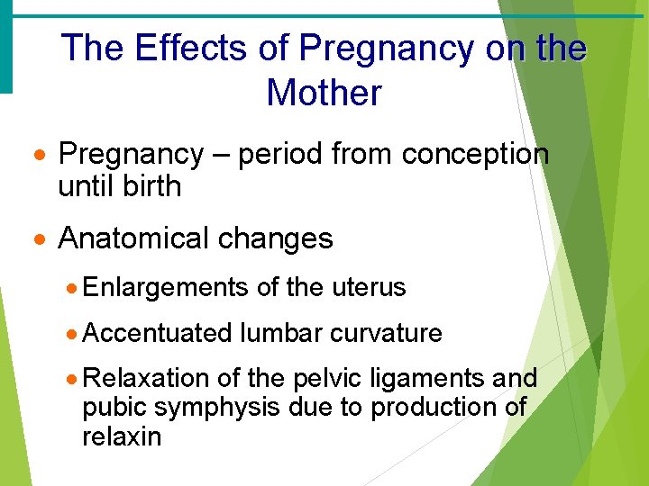 The Effects of Pregnancy on the Mother · Pregnancy – period from conception until