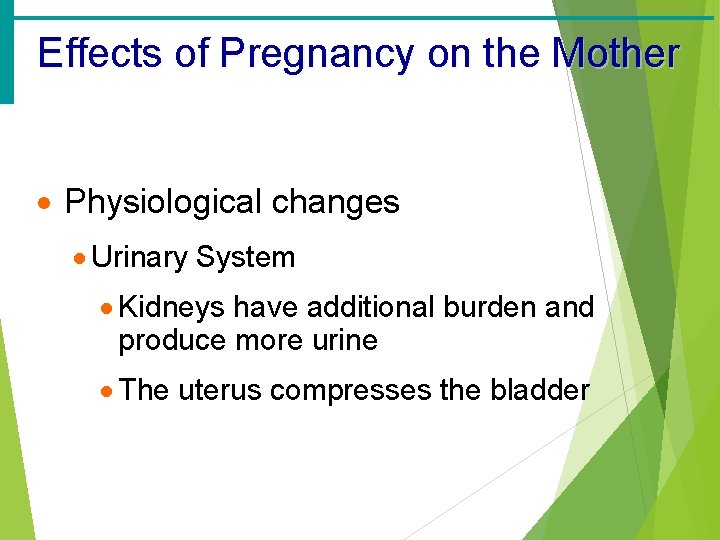 Effects of Pregnancy on the Mother · Physiological changes · Urinary System · Kidneys