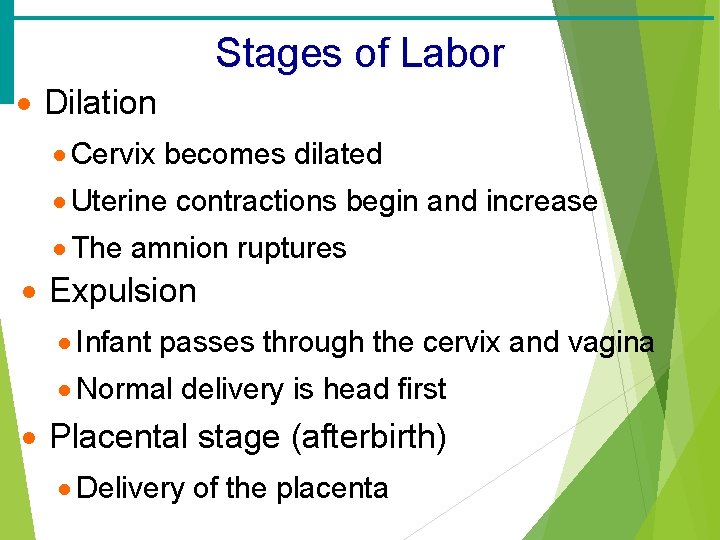 Stages of Labor · Dilation · Cervix becomes dilated · Uterine contractions begin and