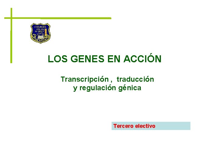 LOS GENES EN ACCIÓN Transcripción , traducción y regulación génica Tercero electivo 