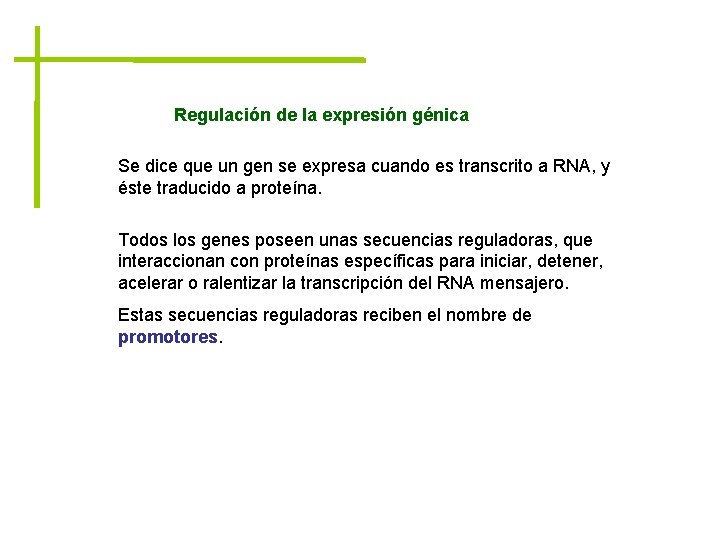 Regulación de la expresión génica Se dice que un gen se expresa cuando es