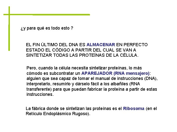 ¿y para qué es todo esto ? EL FIN ÚLTIMO DEL DNA ES ALMACENAR