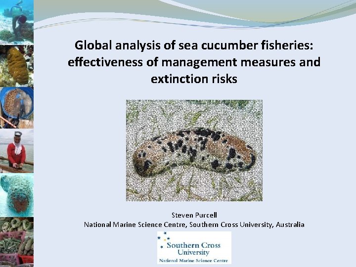 Global analysis of sea cucumber fisheries: effectiveness of management measures and extinction risks Steven