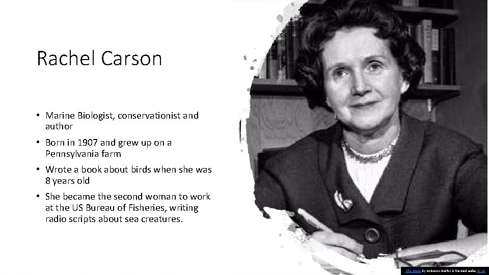 Rachel Carson • Marine Biologist, conservationist and author • Born in 1907 and grew