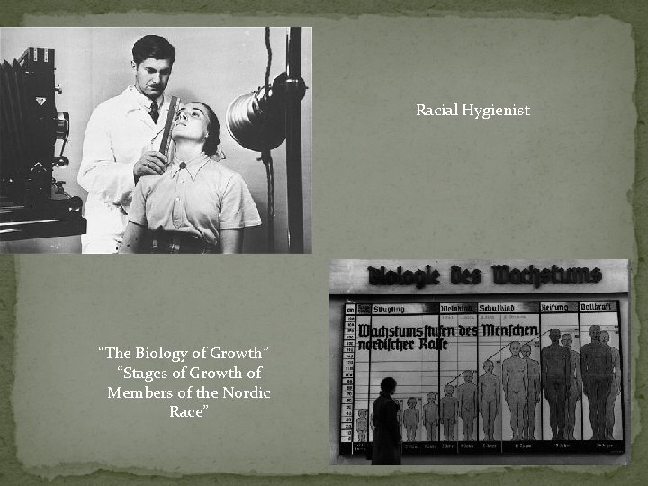 Racial Hygienist “The Biology of Growth” “Stages of Growth of Members of the Nordic