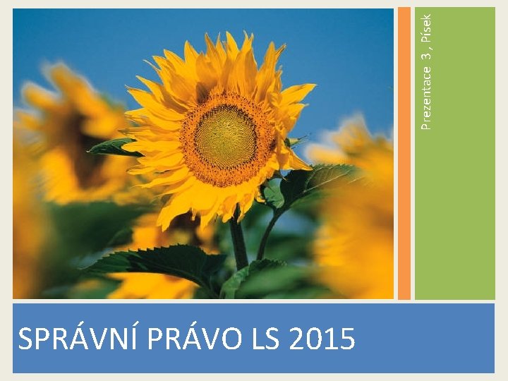 Prezentace 3 , Písek SPRÁVNÍ PRÁVO LS 2015 