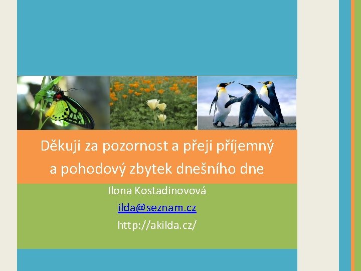 Děkuji za pozornost a přeji příjemný a pohodový zbytek dnešního dne Ilona Kostadinovová ilda@seznam.