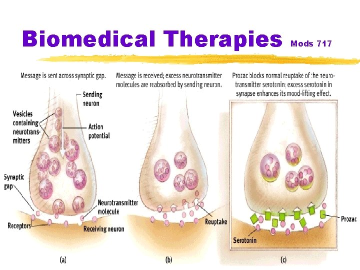 Biomedical Therapies Mods 717 