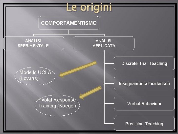 Le origini COMPORTAMENTISMO ANALISI SPERIMENTALE ANALISI APPLICATA Discrete Trial Teaching Modello UCLA (Lovaas) Pivotal