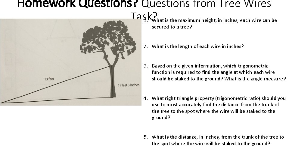 Homework Questions? Questions from Tree Wires Task? 1. What is the maximum height, in