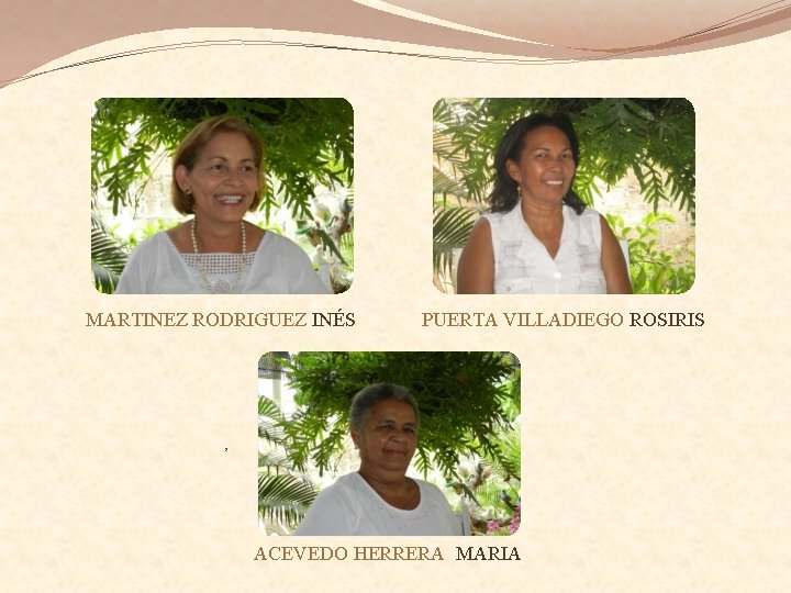 MARTINEZ RODRIGUEZ INÉS PUERTA VILLADIEGO ROSIRIS , ACEVEDO HERRERA MARIA 