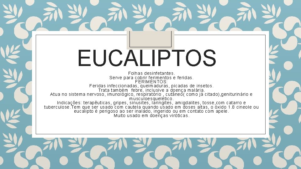 EUCALIPTOS Folhas desinfetantes. Serve para cobrir ferimentos e feridas. FERIMENTOS: Feridas infeccionadas, queimaduras, picadas