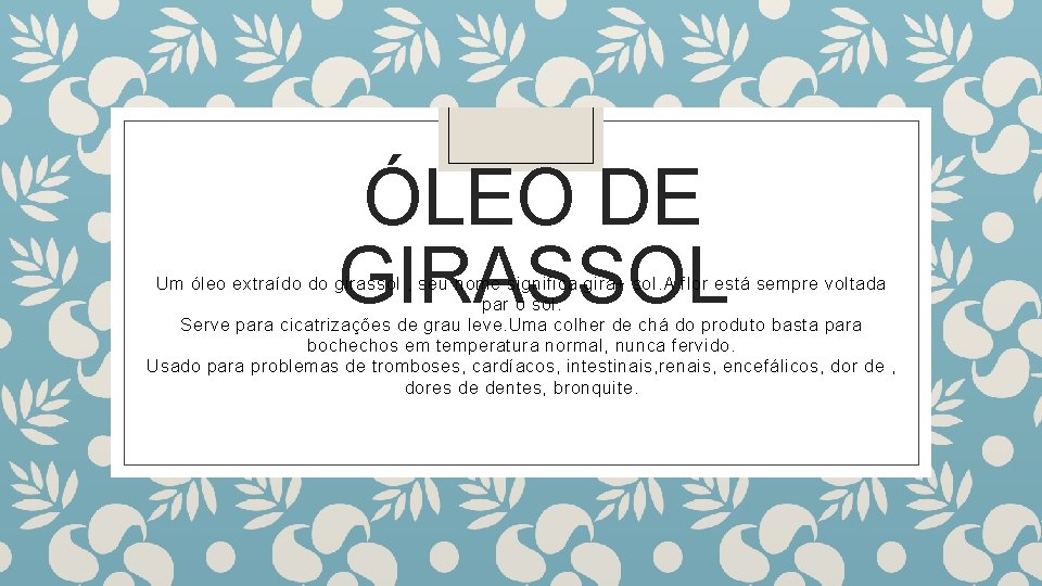 ÓLEO DE GIRASSOL Um óleo extraído do girassol , seu nome significa gira+ sol.