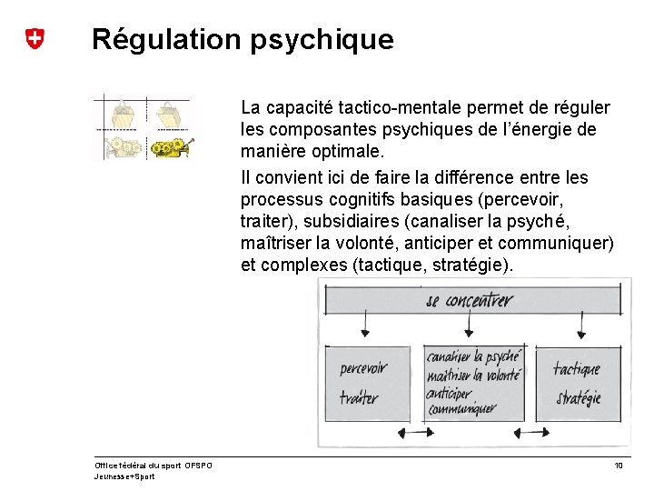 Régulation psychique La capacité tactico-mentale permet de réguler les composantes psychiques de l’énergie de