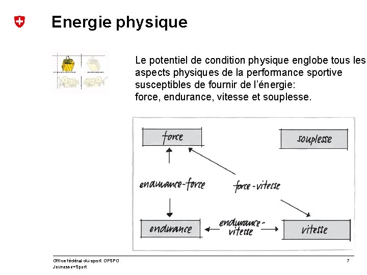 Energie physique Le potentiel de condition physique englobe tous les aspects physiques de la