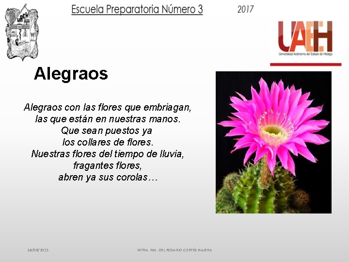 Alegraos con las flores que embriagan, las que están en nuestras manos. Que sean