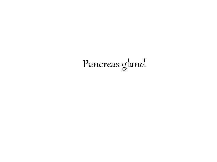 Pancreas gland 