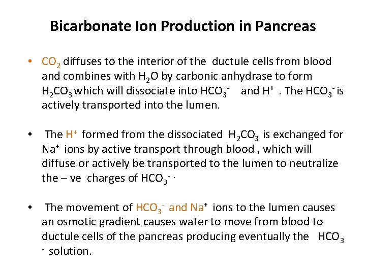 Bicarbonate Ion Production in Pancreas • CO 2 diffuses to the interior of the
