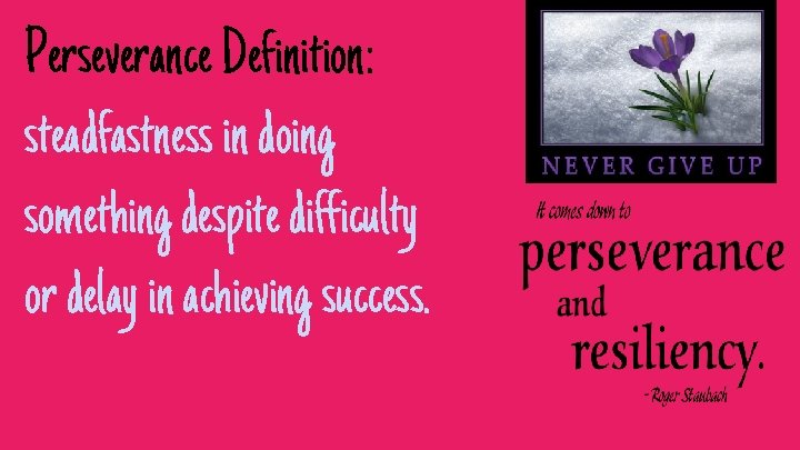 Perseverance Definition: steadfastness in doing something despite difficulty or delay in achieving success. 