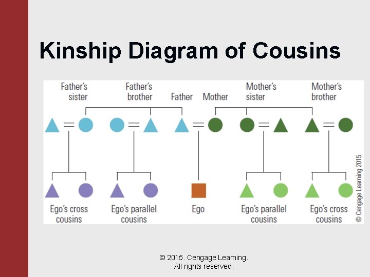 Kinship Diagram of Cousins © 2015. Cengage Learning. All rights reserved. 