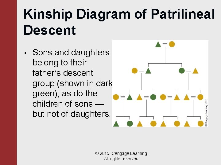 Kinship Diagram of Patrilineal Descent • Sons and daughters belong to their father’s descent