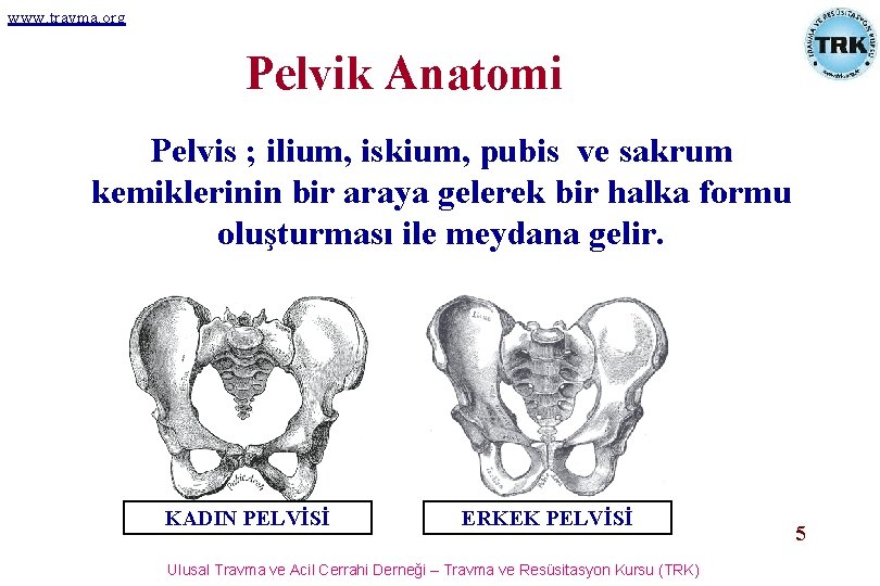 www. travma. org Pelvik Anatomi Pelvis ; ilium, iskium, pubis ve sakrum kemiklerinin bir