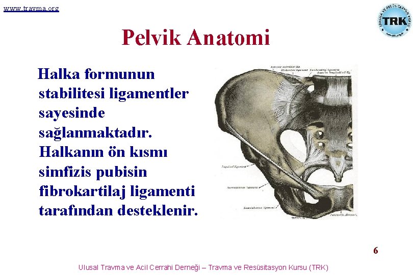www. travma. org Pelvik Anatomi Halka formunun stabilitesi ligamentler sayesinde sağlanmaktadır. Halkanın ön kısmı