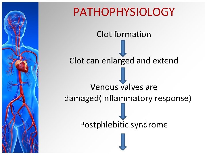PATHOPHYSIOLOGY Clot formation Clot can enlarged and extend Venous valves are damaged(Inflammatory response) Postphlebitic