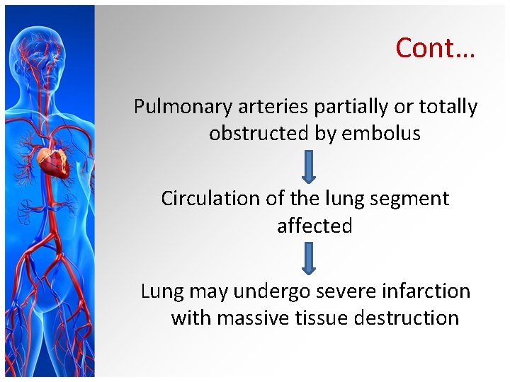 Cont… Pulmonary arteries partially or totally obstructed by embolus Circulation of the lung segment