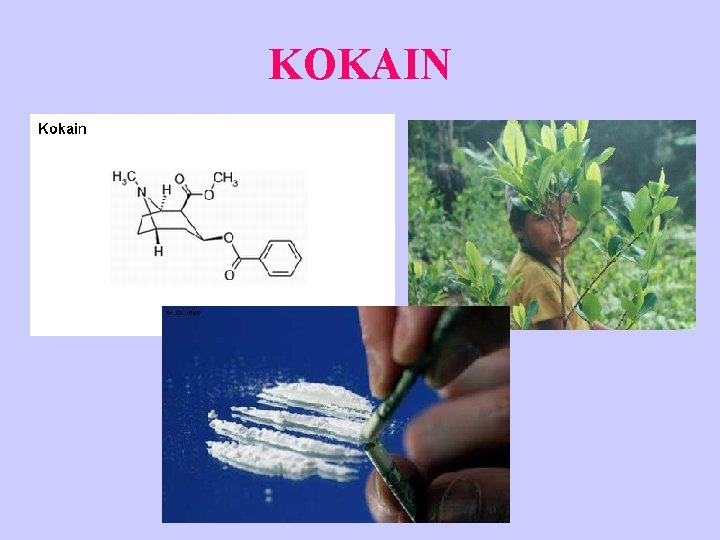 KOKAIN KOKAIN