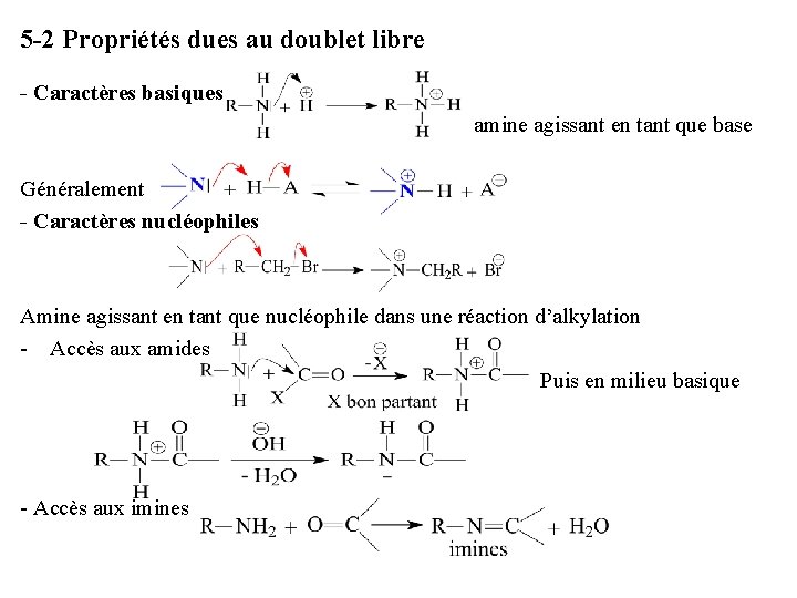 5 -2 Propriétés dues au doublet libre - Caractères basiques amine agissant en tant