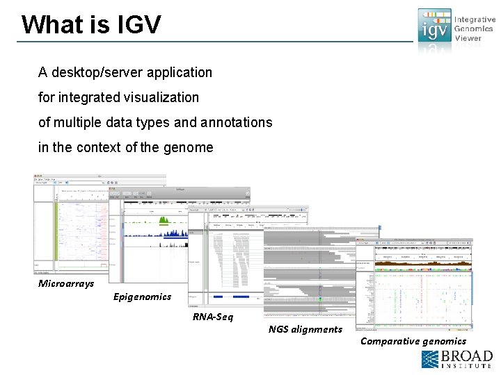 What is IGV A desktop/server application for integrated visualization of multiple data types and