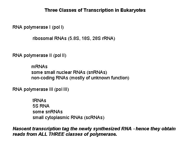 Three Classes of Transcription in Eukaryotes RNA polymerase I (pol I) ribosomal RNAs (5.