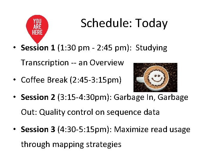 Schedule: Today • Session 1 (1: 30 pm - 2: 45 pm): Studying Transcription