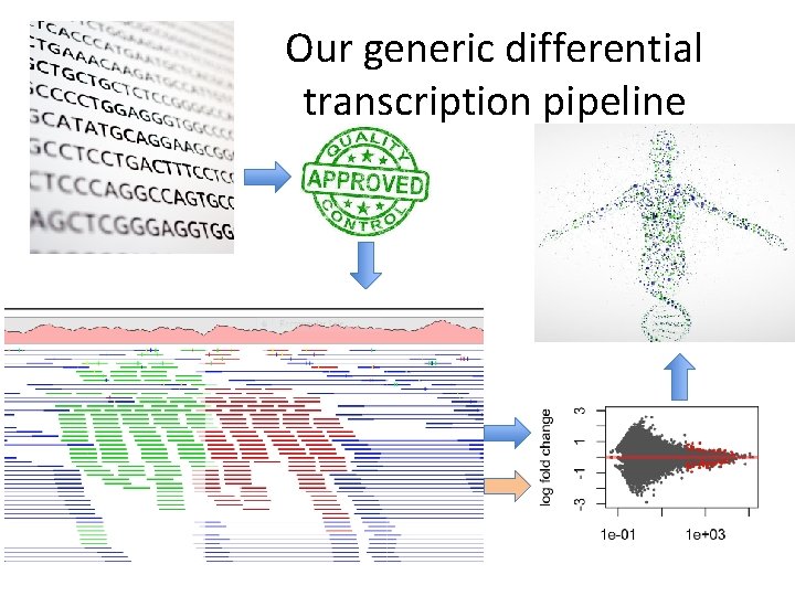 Our generic differential transcription pipeline 