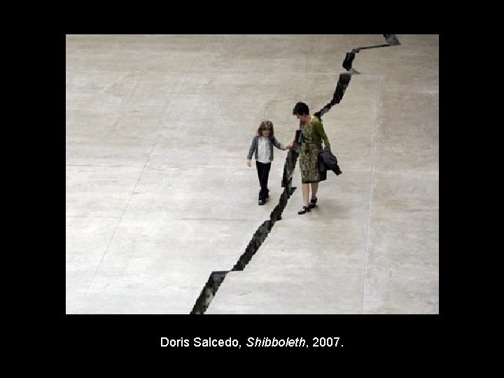 Doris Salcedo, Shibboleth, 2007. 