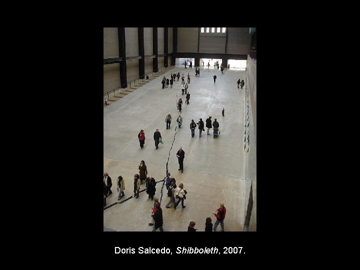 Doris Salcedo, Shibboleth, 2007. 