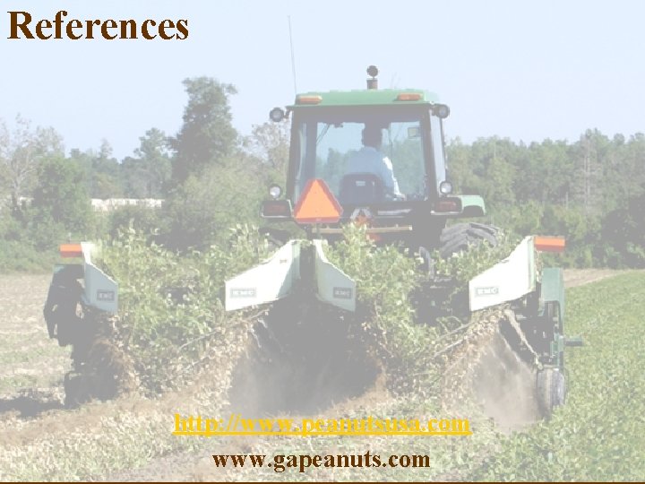 References http: //www. peanutsusa. com www. gapeanuts. com 